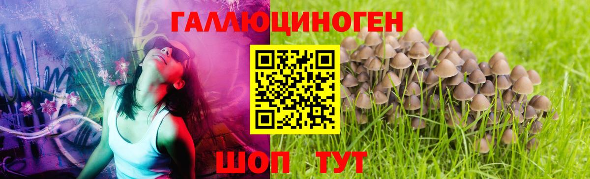 Галлюциногенные грибы MAGIC MUSHROOMS  Вход с VPN  Псилоцибиновые грибы Magic Shrooms  Черногорск 